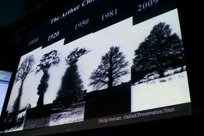 The Arthur Clough Oak, serie de 100 años.